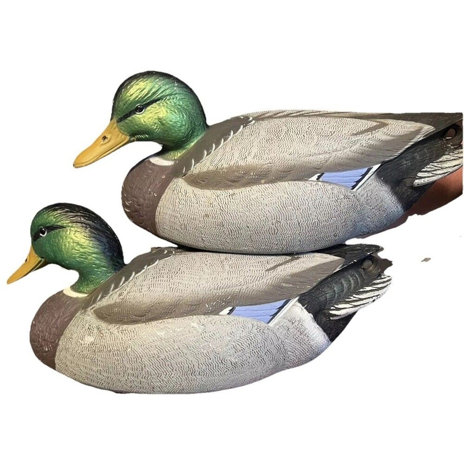 duck decoys for hunting HD Gunners Final Approach Pair Of 2 Decoys, Life Size
