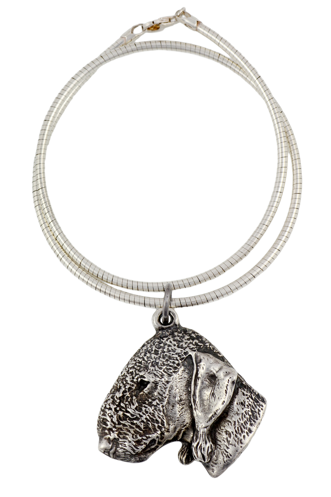 Bedlington Terrier, Rothbury Terrier - Dog Collar, Unique Jewelry for