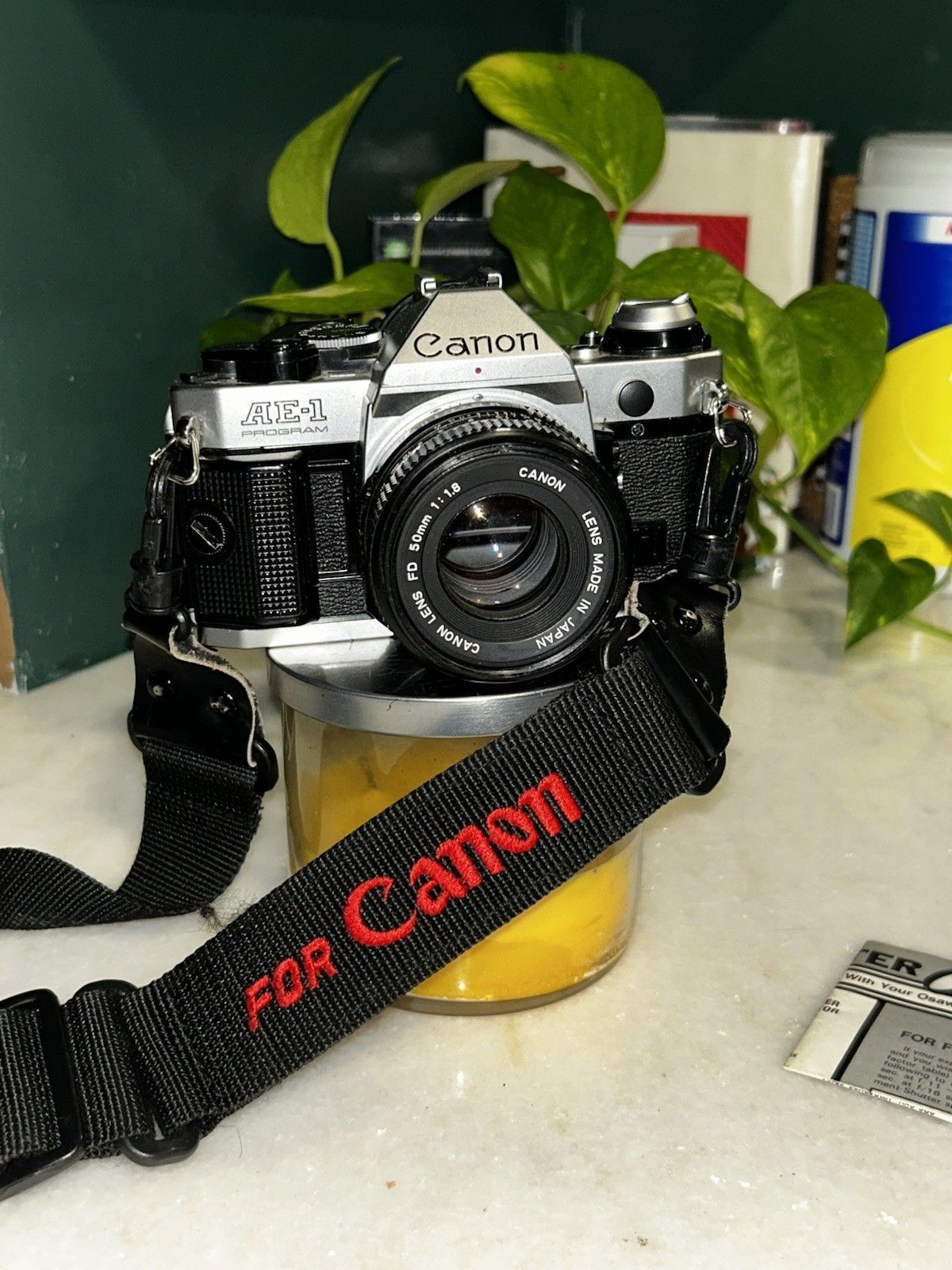 Canon AE-1 Program Camera Lot w/ Canon Vivitar Focal Lenses Flashes Cases