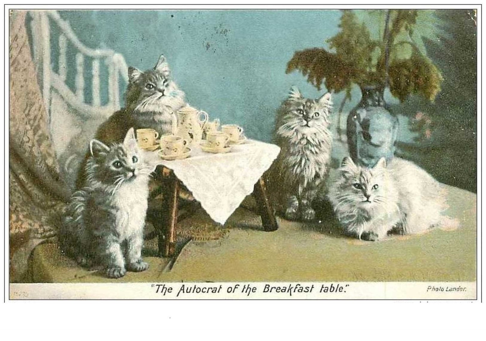 Cats No. 152 The Autocrat Of The Breakfast Table.