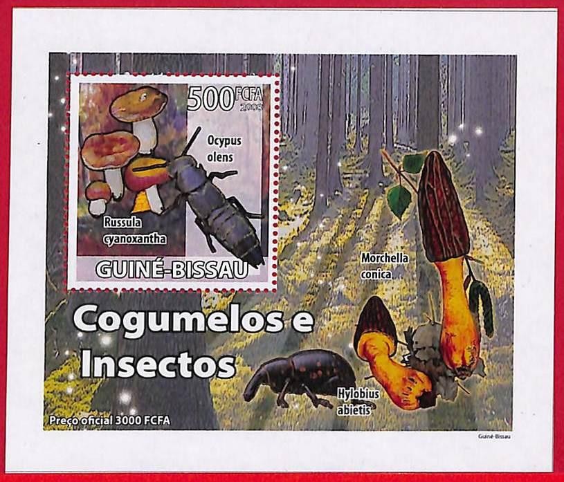 A5028 - GUINE-BISSAU - ERROR MISPERF Stamp Sheet - 2008 - Mushrooms, Insects