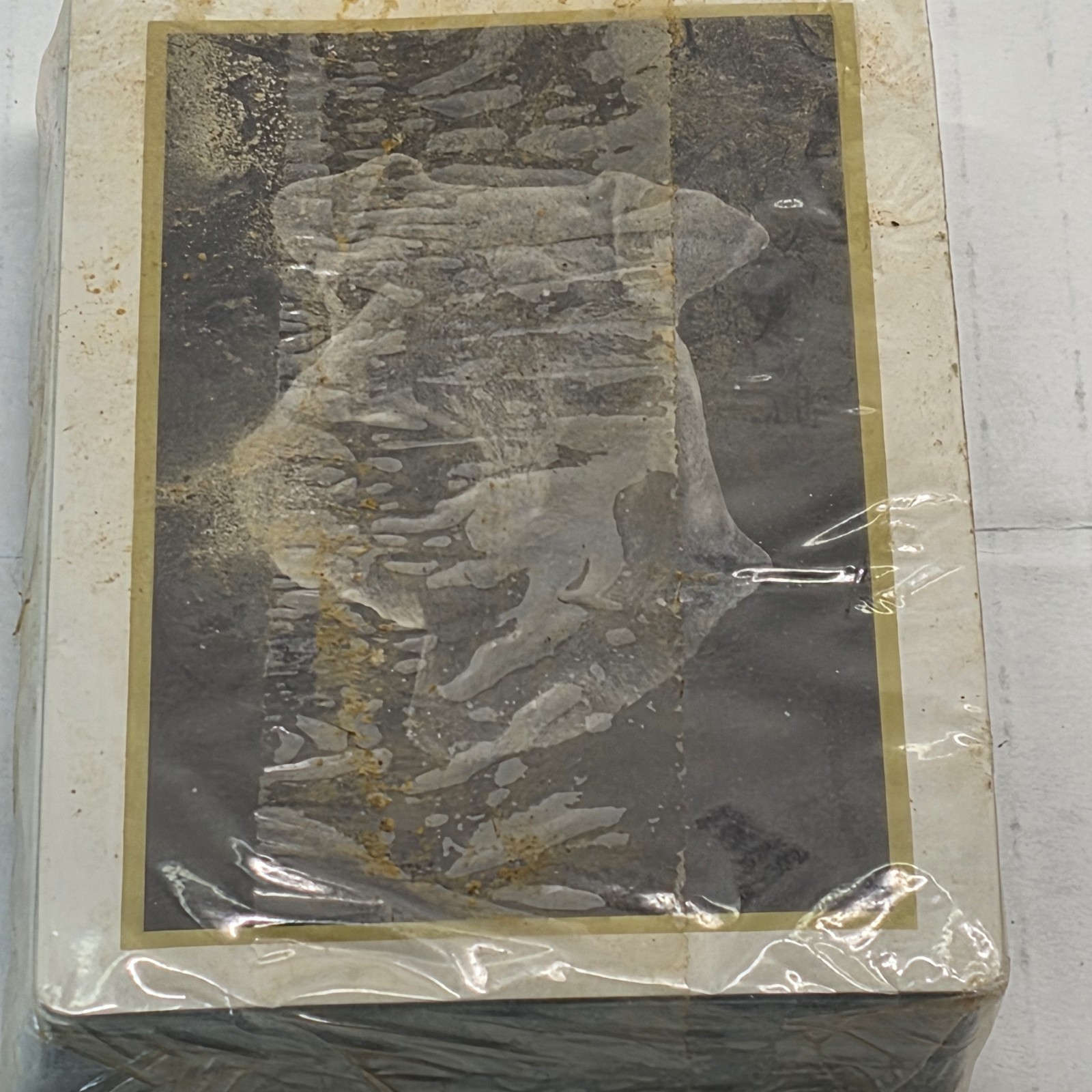 VTG Schnauzer Dog Portrait Playing Cards Deck | Sealed | 1970s-80s Animal Art