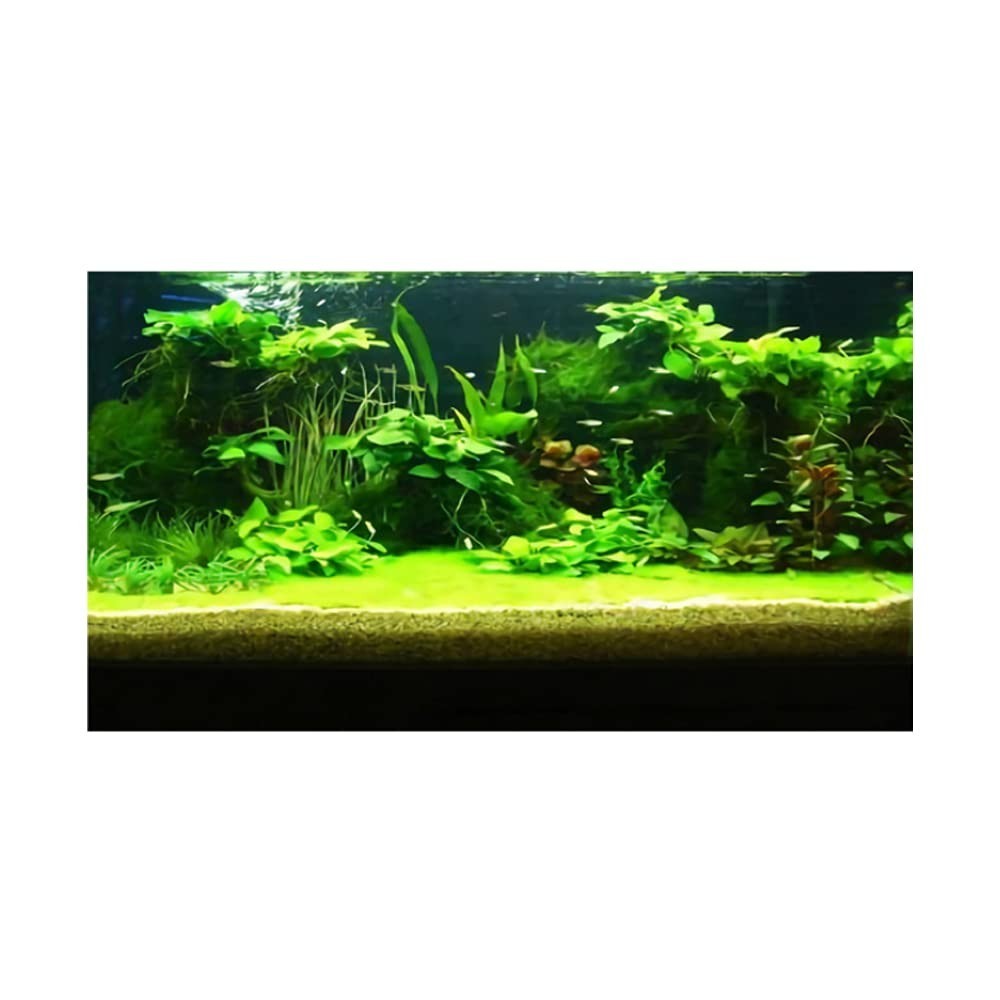 3D Prints Fish Tank Background Aquarium Underwater Backdrop Image (11.8"x24")