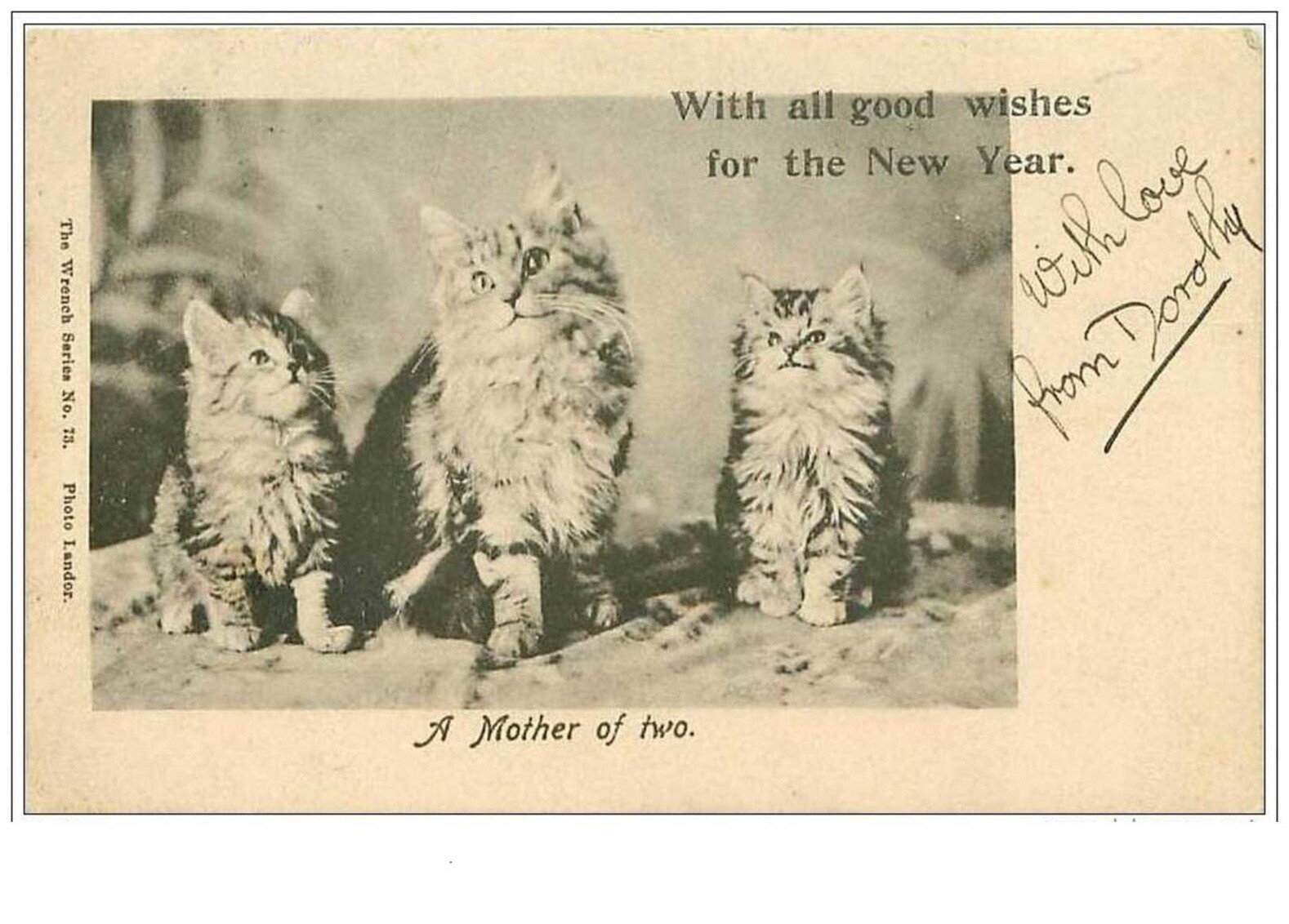 Cats No. 1487 A Mother Of Two With All Good Wishes For The New Year Mom Cat