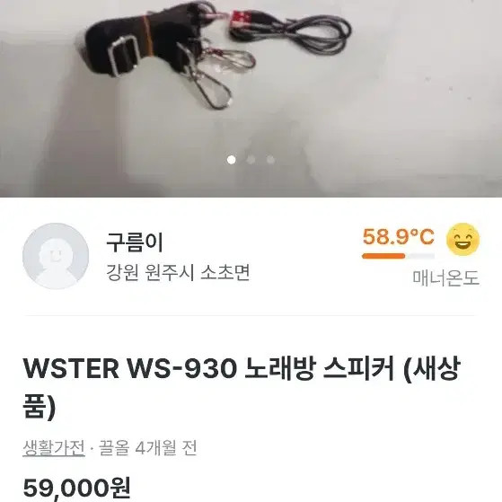 WSTER WS-930 Wireless Karaoke Speaker, New