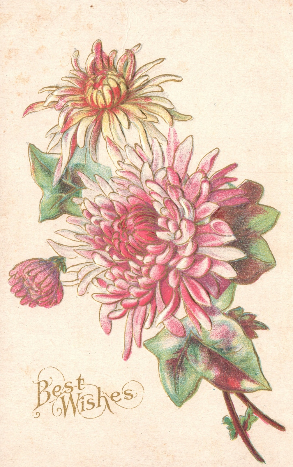 Best Wishes Flower Design Greetings To A Friend Remembrance Vintage Postcard
