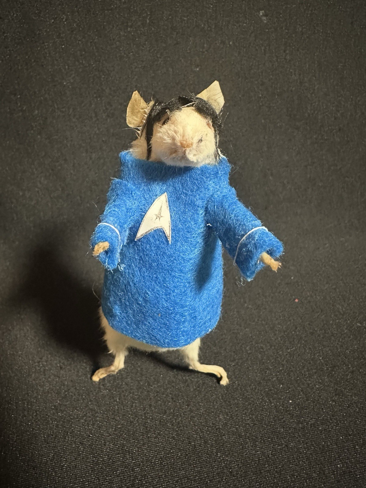 Taxidermy Mouse Spock Star Trek Mouse Oddities Curiosities Taxidermy Art