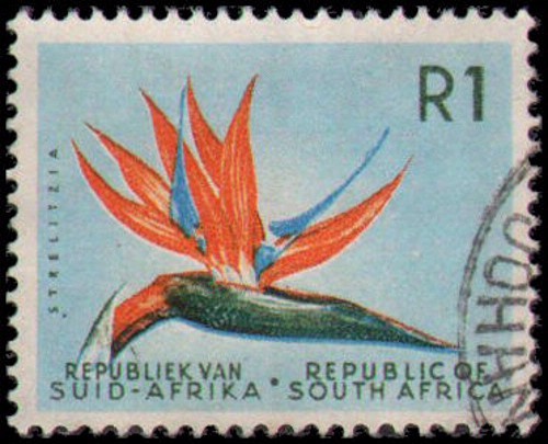 South Africa #266 Used