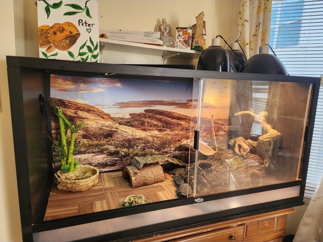 DEAL: 4x2x2 (120 Gallon) Reptile Enclosure with Accessories