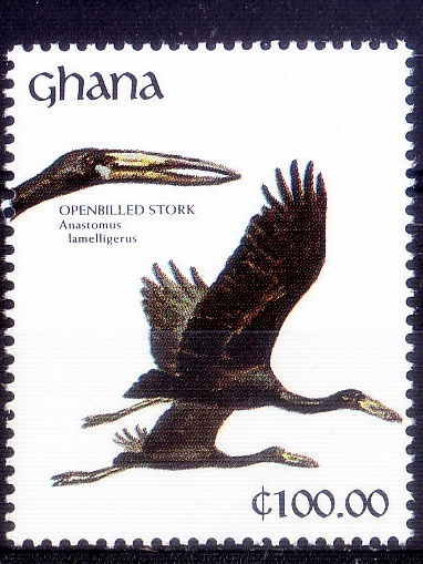Ghana 1991 MNH, Water Birds, Opened billed Stork (A73)