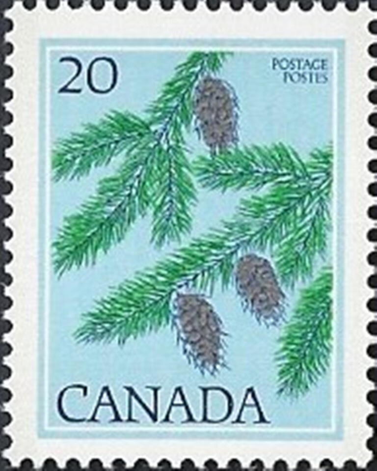 🍁Canada   #718    "Douglas Fir Tree"     Brand New  1977 Pristine Original Gum