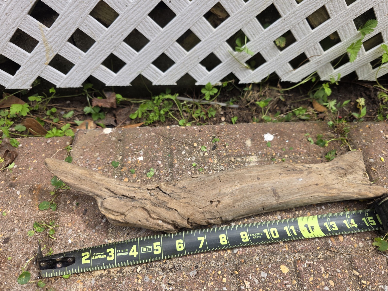 Natural Genuine Driftwood/Root Wood Aquarium Decoration Brown, 14 Inch