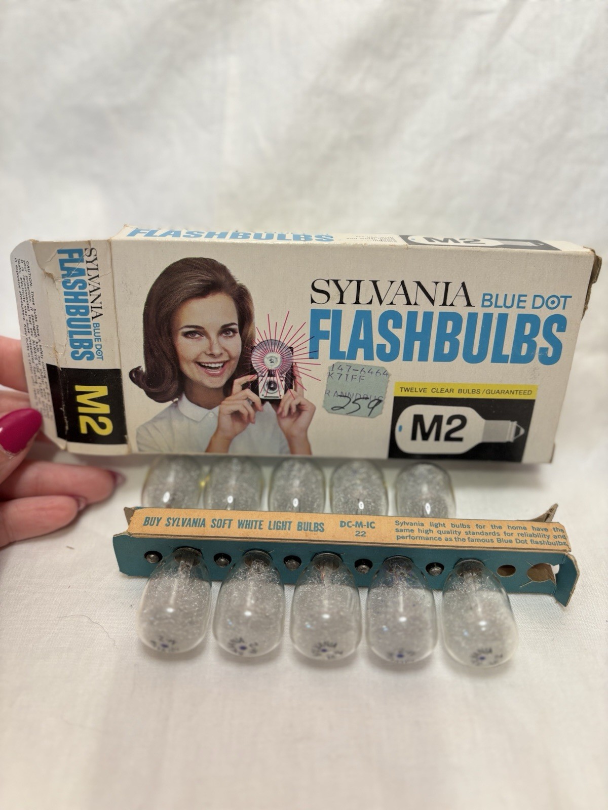 Sylvania Blue Dot M3 Camera Flash Flashbulbs Clear Bulbs (10 Bulbs Only)