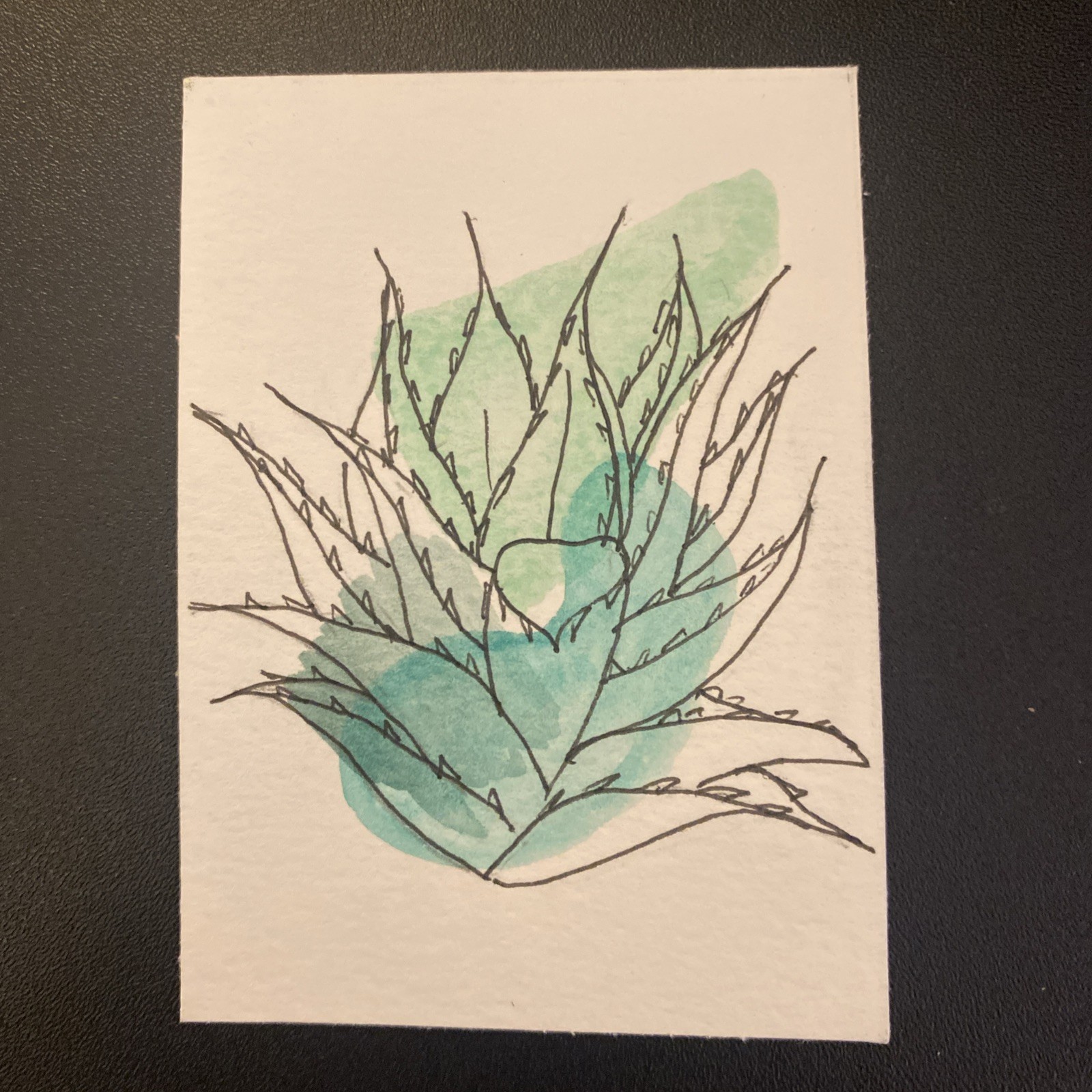 aceo original painting Watercolor Aloe by Megan Letchworth