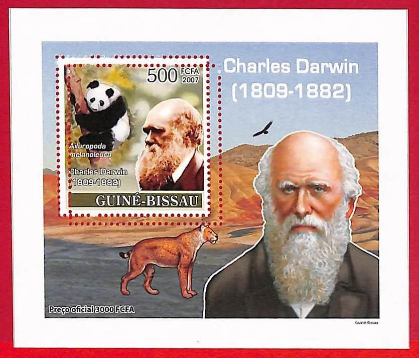 A5076 - GUINE-BISSAU - ERROR MISPERF Stamp Sheet - 2007 -Darwin, Animals PANDA