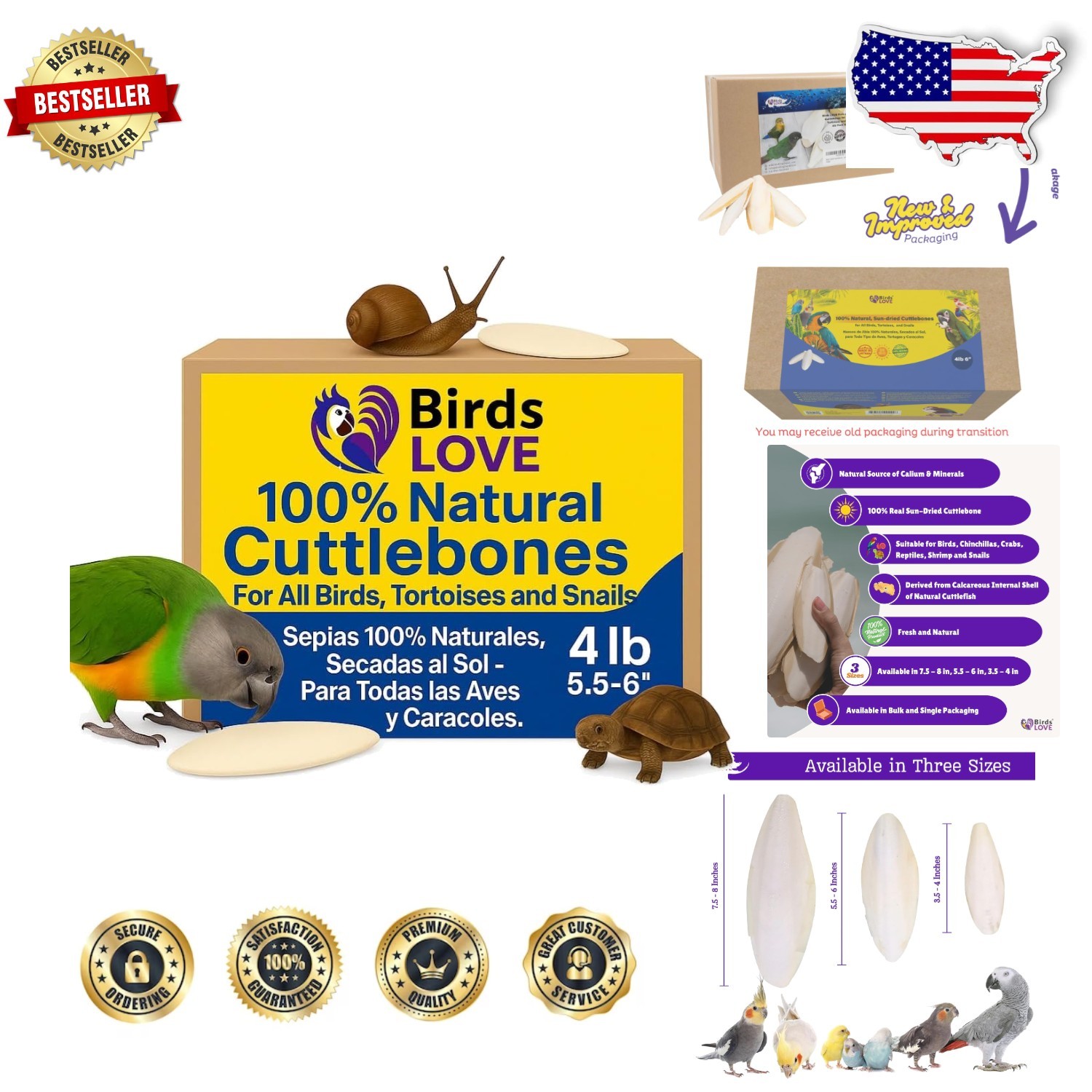 Large 4lb Cuttlebone for Parrots, Tortoise - Pure Calcium Source, Beak Care