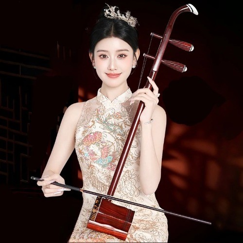 Professional Erhu Chinese Urheen 2 Strings Children Adult Performance Erhu 