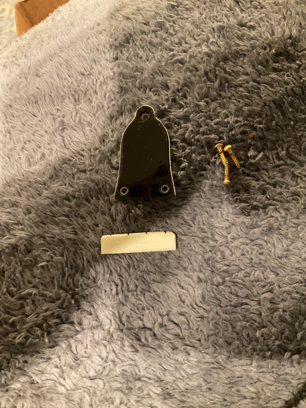 Banjo Truss Rod Cover, Screws, Nut