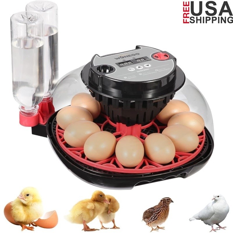 12 Egg Incubator Automatic Humidity Control LED Candler Poultry Hatching Machine