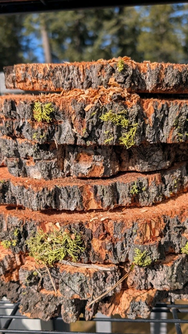 Rough Cut Rounds -Douglas Fir - Table Centerpiece- Wedding Decor