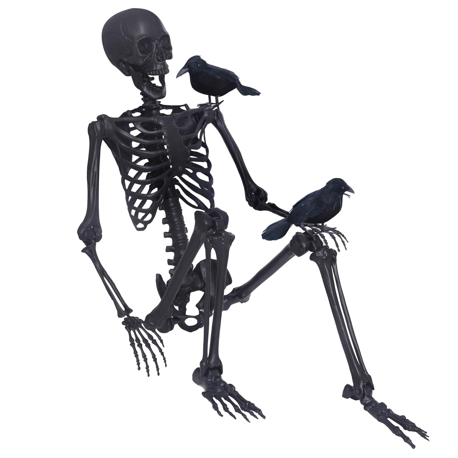 5.4Ft Posable Full Size Halloween Skeleton with Movable Joints