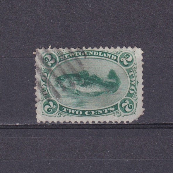 NEWFOUNDLAND CANADA 1865, SG# 31, CV £50, Atlantic Cod, Used