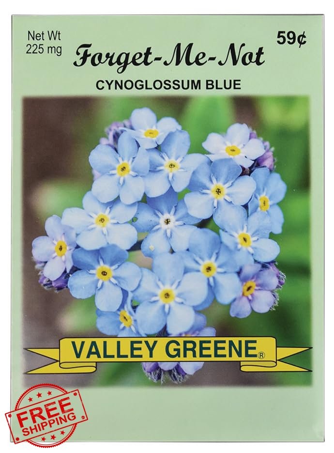 50 Forget Me Not Flower Seed Packets Bulk Valley Green Seeds