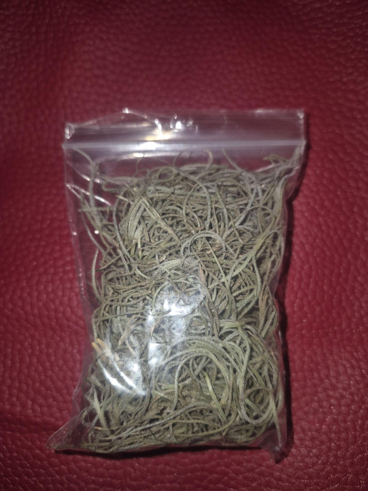 Spanish Moss For Protection Banish Revenge & Love