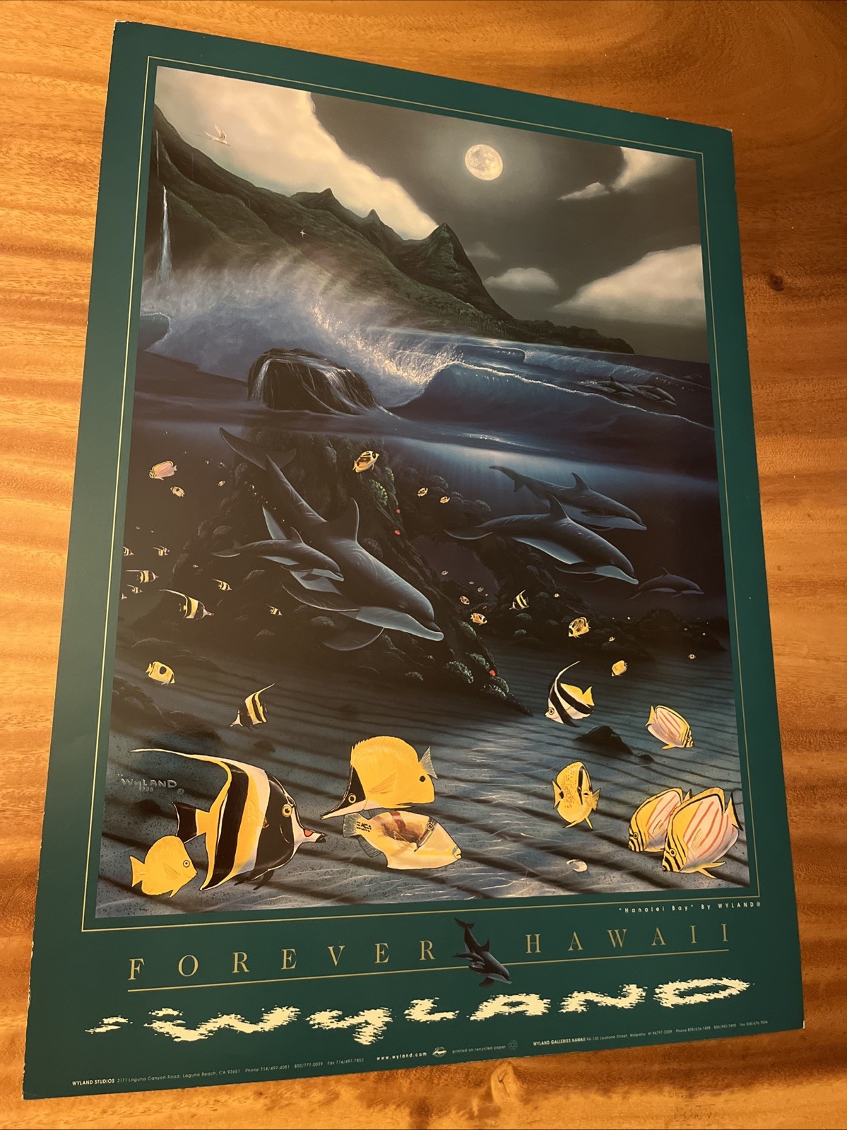 Wyland Forever Hawaii Poster Vintage Dolphin Art Print Ocean Wildlife