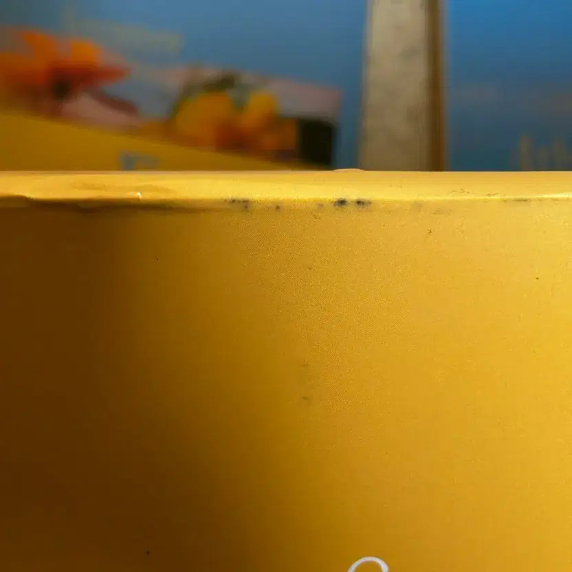 Seventeen 4th Album Repackage New Beginning