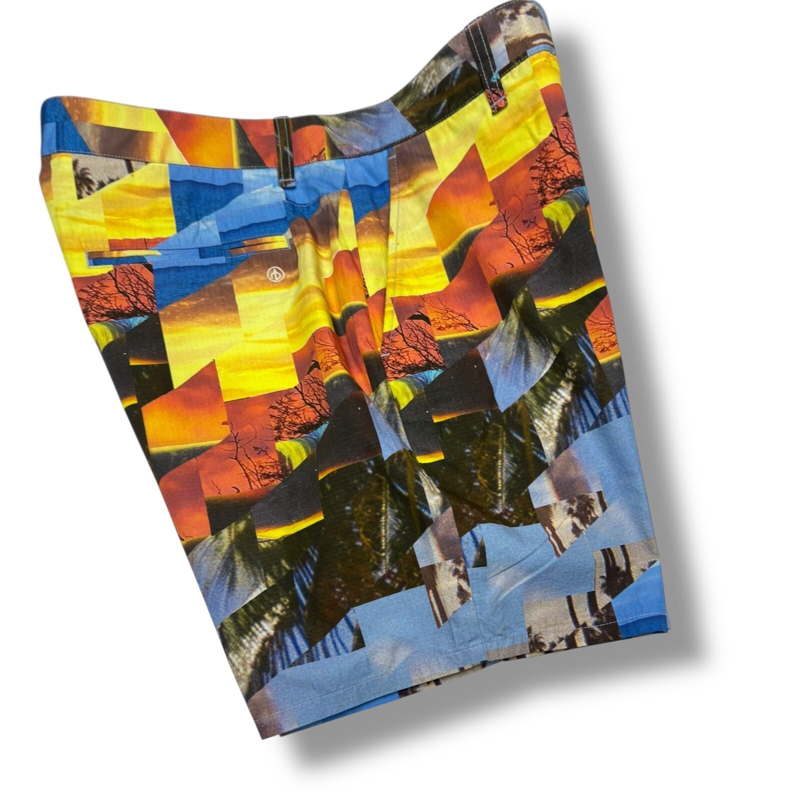 Rag & Bone Perry Print Cotton Ripstop Shorts Mens Size 34