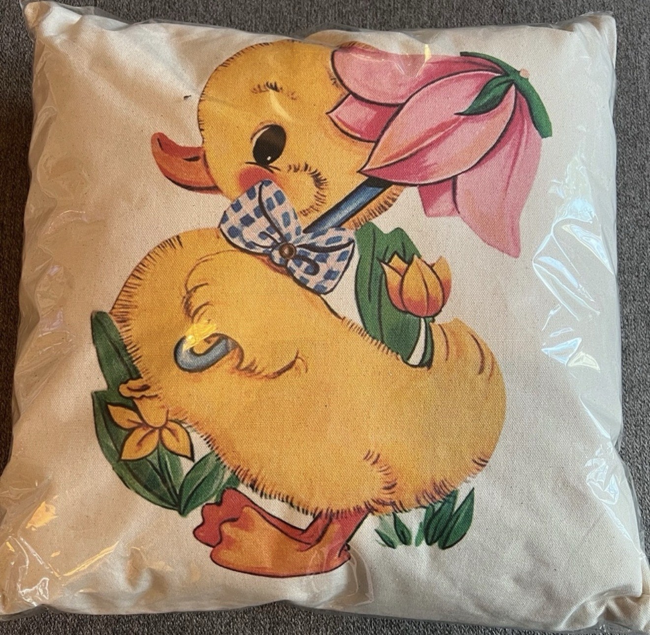 Peach Street Kitsch Duck Spring Greetings Throw Pillow 17” NWT Easter Home Decor