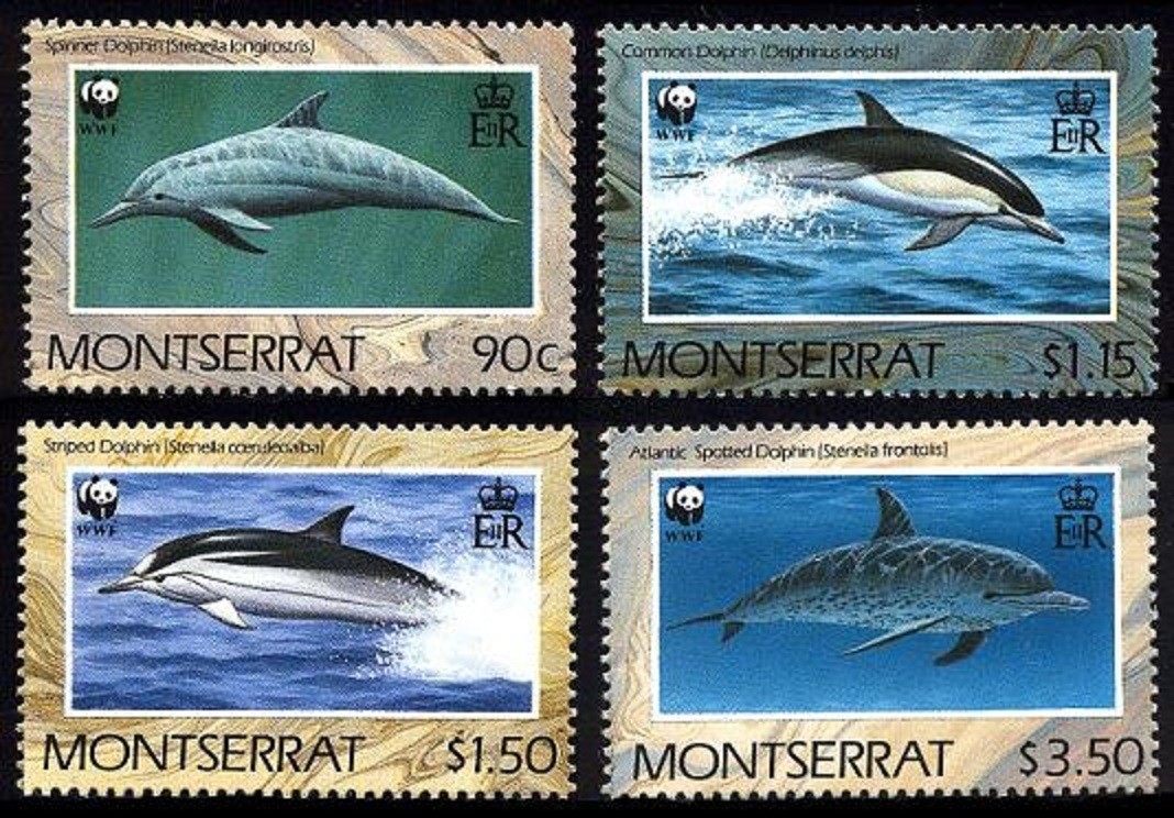 Montserrat Dolphins Marine Animals Fauna WWF 4v 1990 MNH SG#833-836