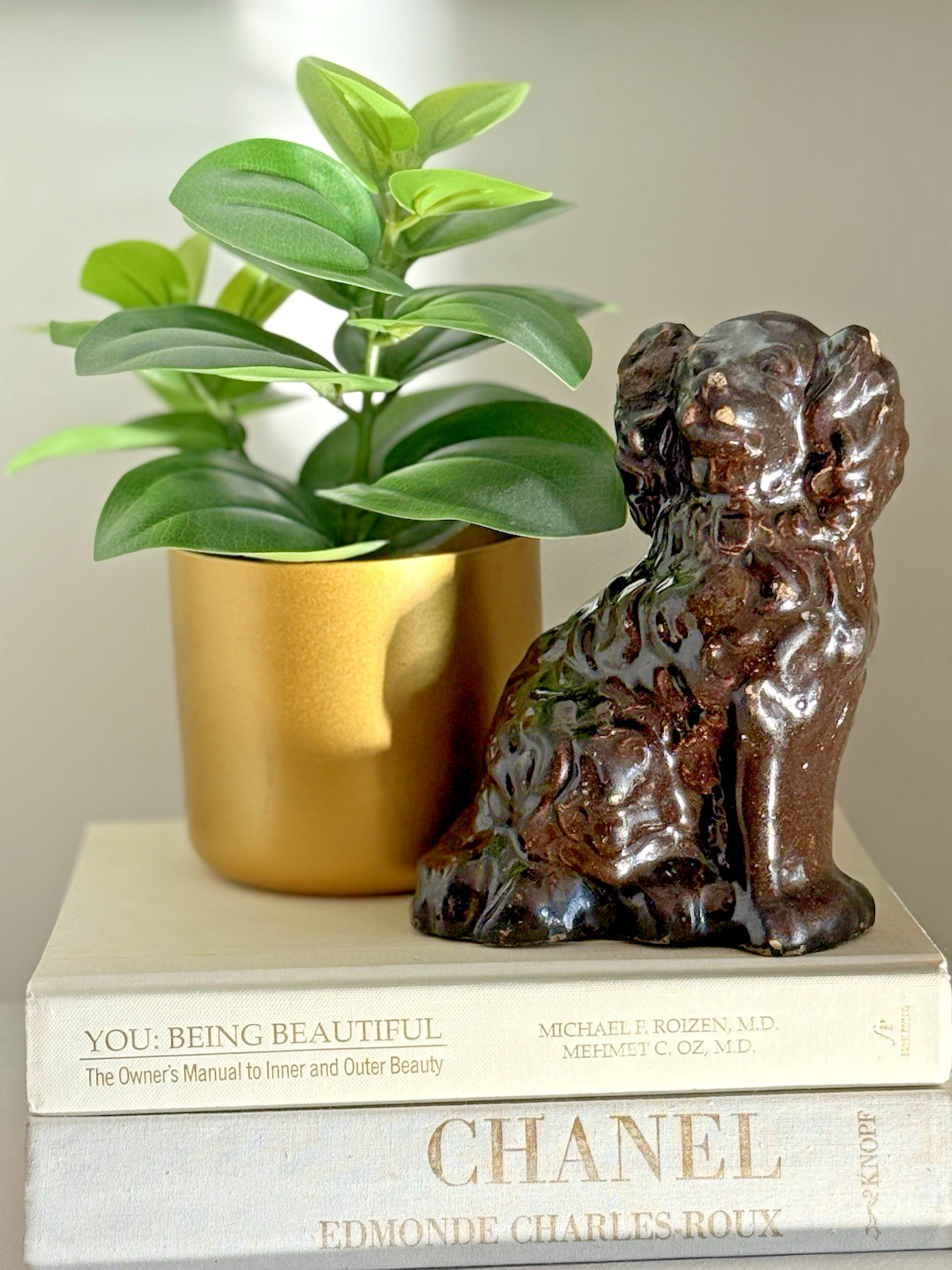 Antique Victorian Spaniel Dog Albany Slip Glaze c1860s Rockingham Pottery