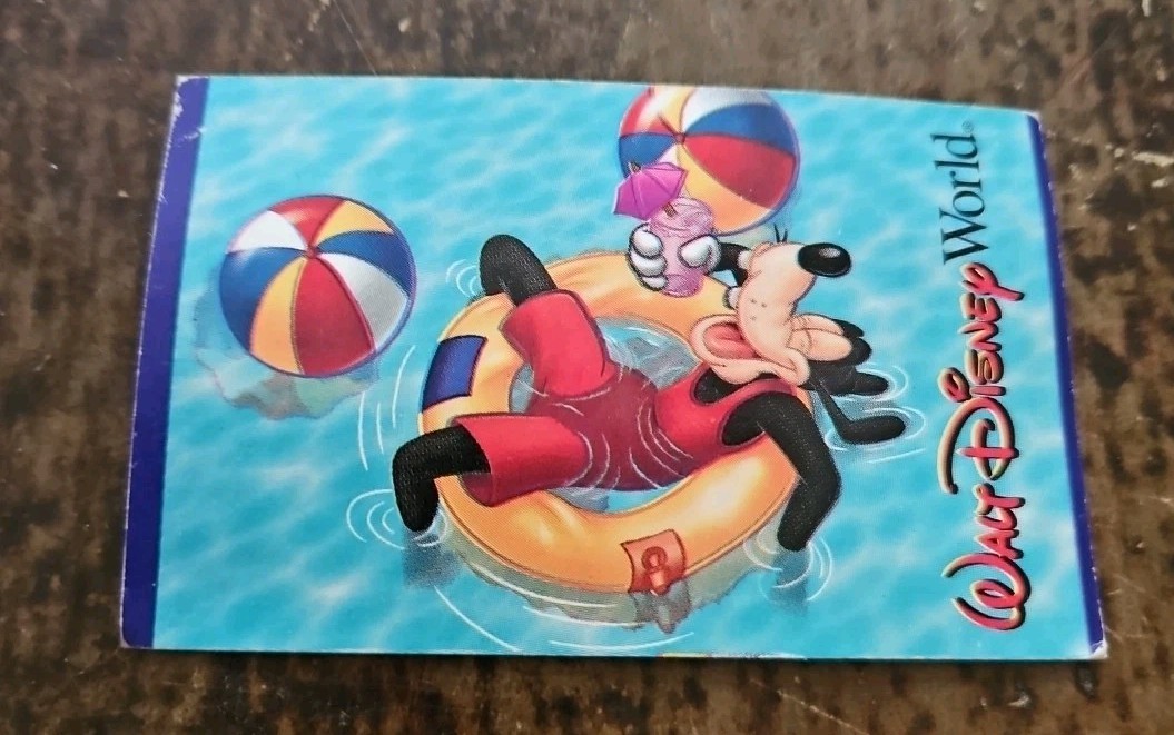 Disney World Typhoon Lagoon or Blizzard Beach 1 day ticket 2003 Vtg