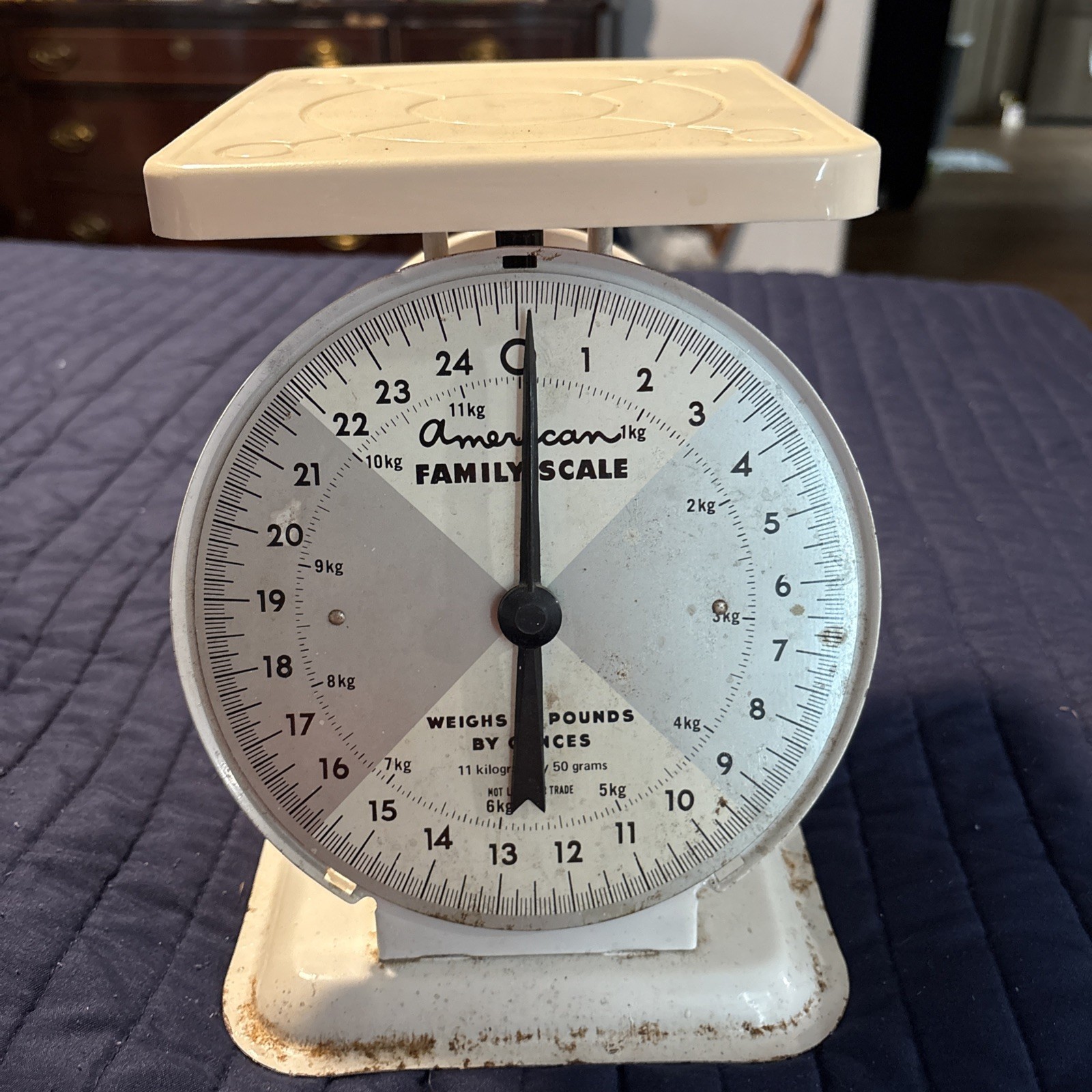 Vintage American Family Scale 25 lb White Kitchen Scale Farmhouse Decor USA