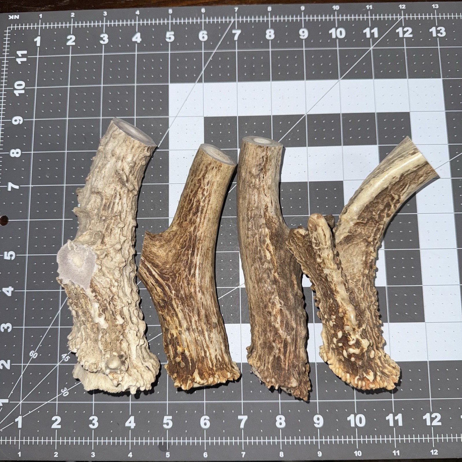 Lot Of 4 Whitetail Deer Antler Base knife handle / sheds antler whitetail deer C