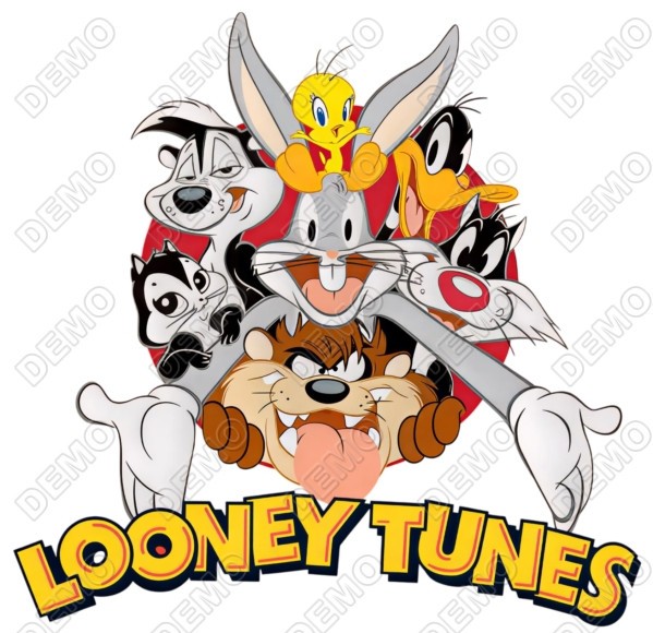 Looney Tunes   DTF  Shirt Iron on Transfer