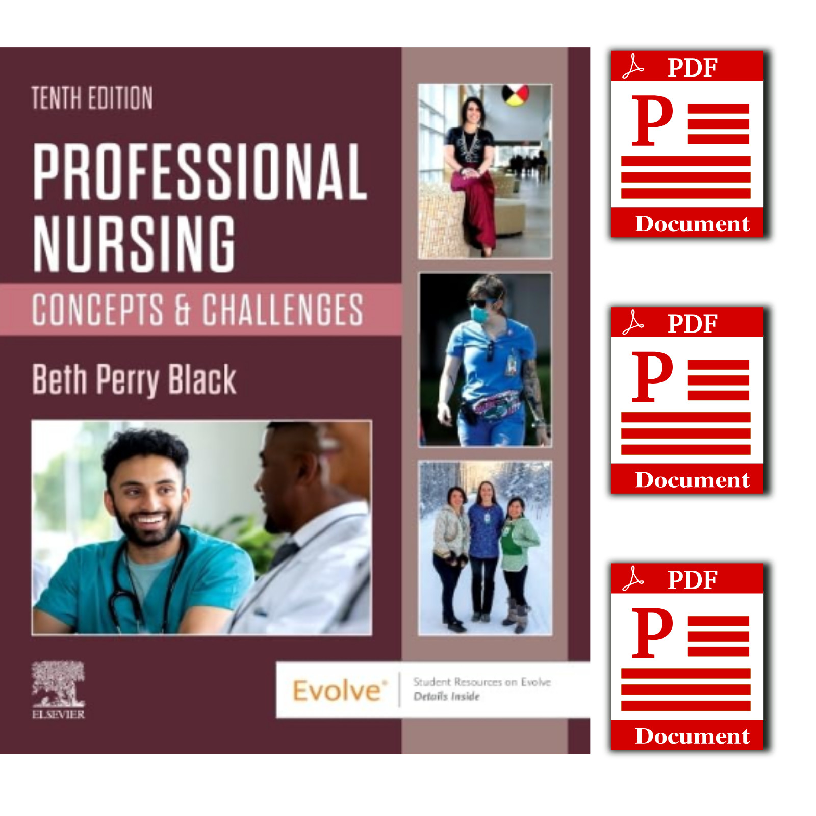 Professional Nursing Concepts & Challenges 10th Edition