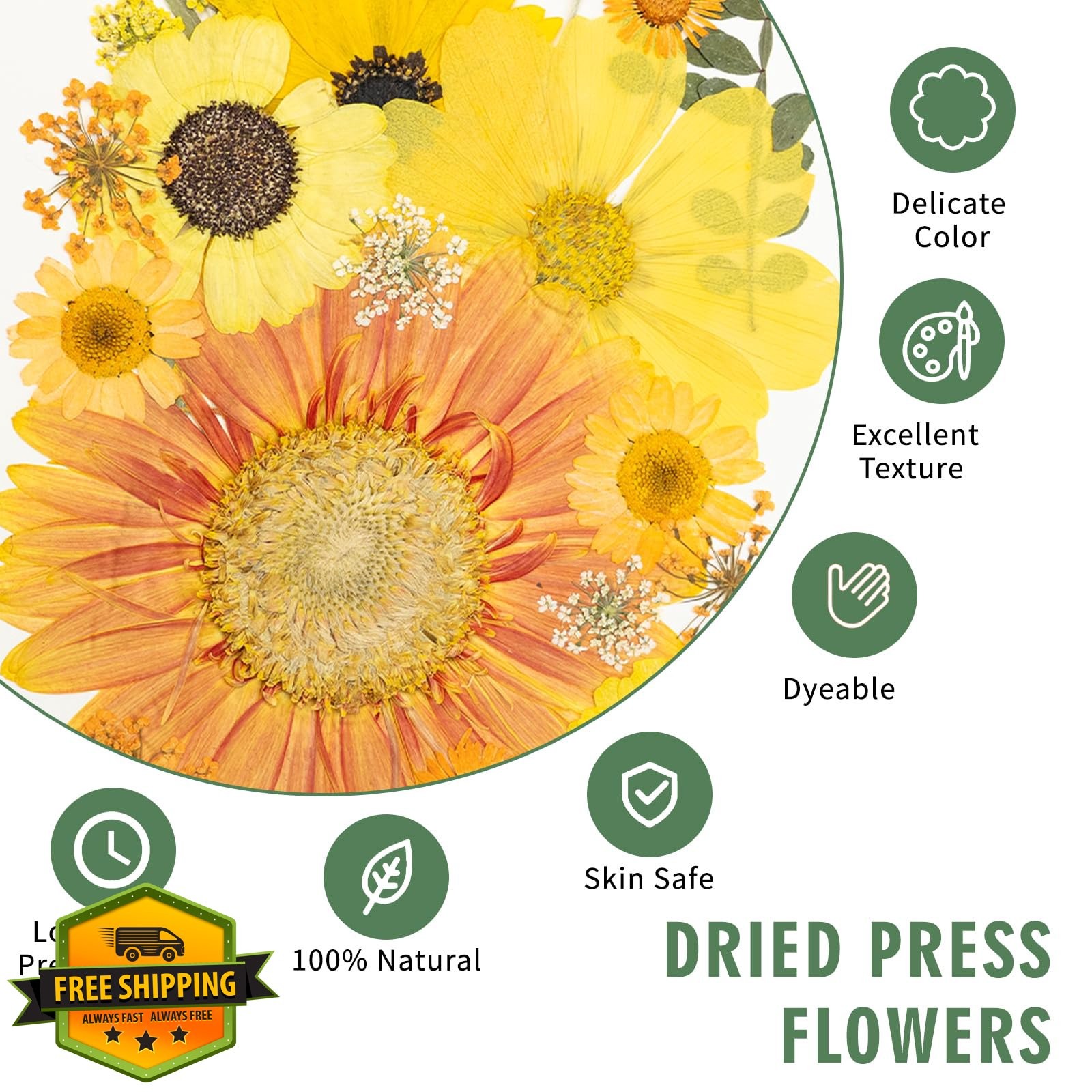 203 Dried Pressed Flowers Kit, Real Natural, Butterfly Stickers, Resin Crafts