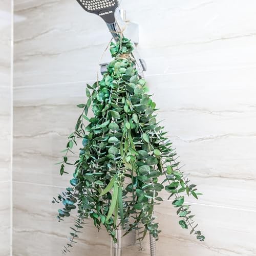 3kinds Natural Eucalyptus Stems 12PCS - 17inch Eucalyptus Set for 12PCS-17INCH