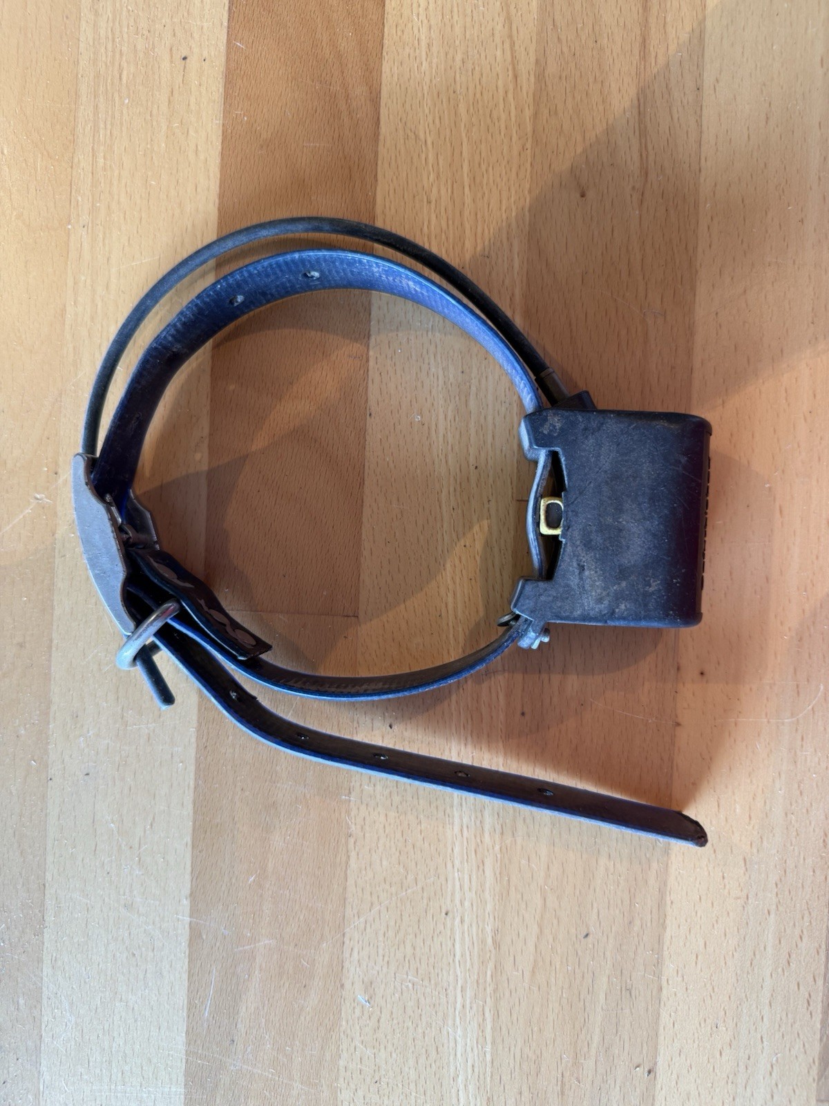 Magnum Telemetry tracking collar, 217.563 