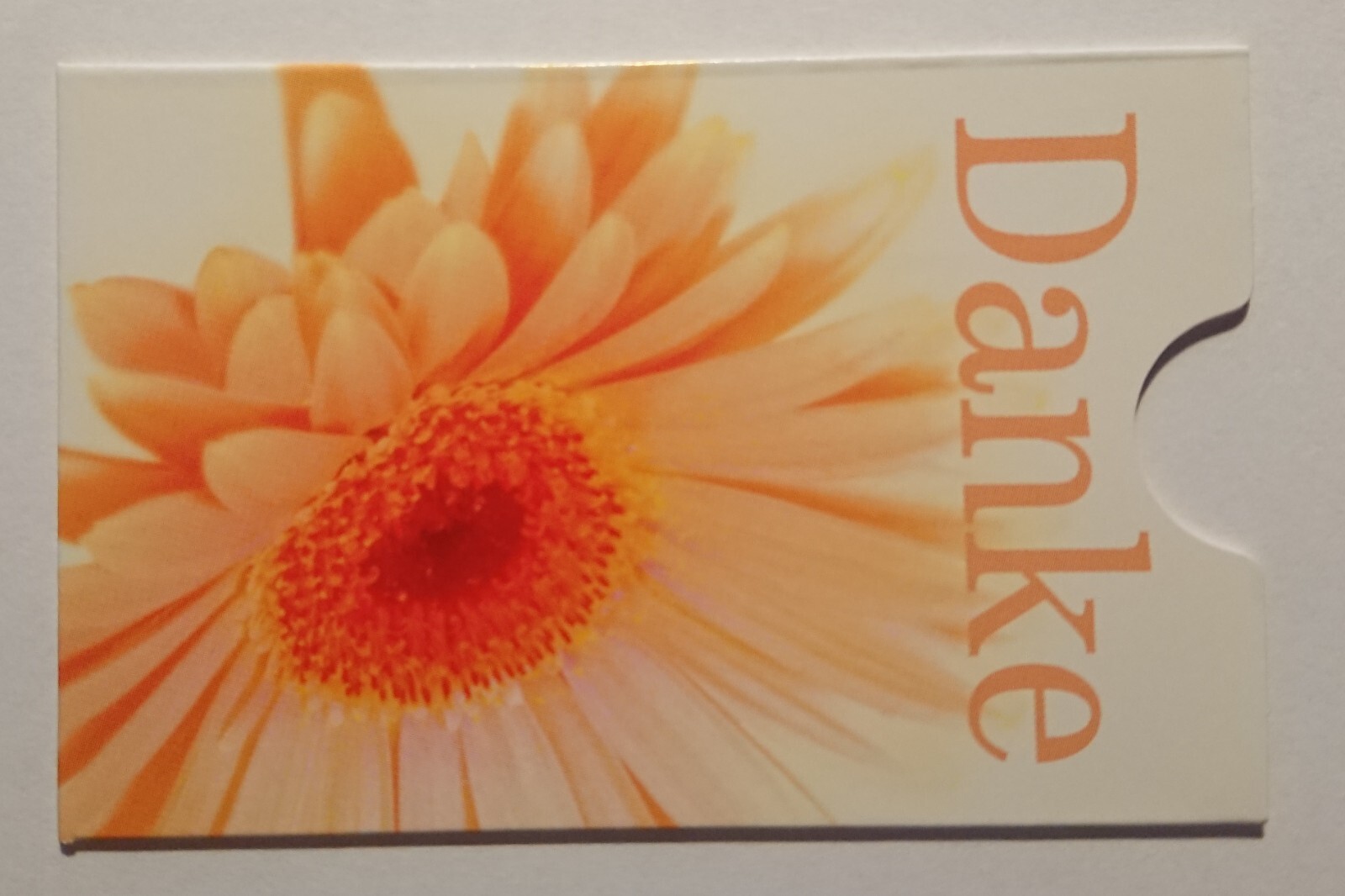 Titulaire Cardbox Carte de Téléphone, Ec Carte Merci Fleurs