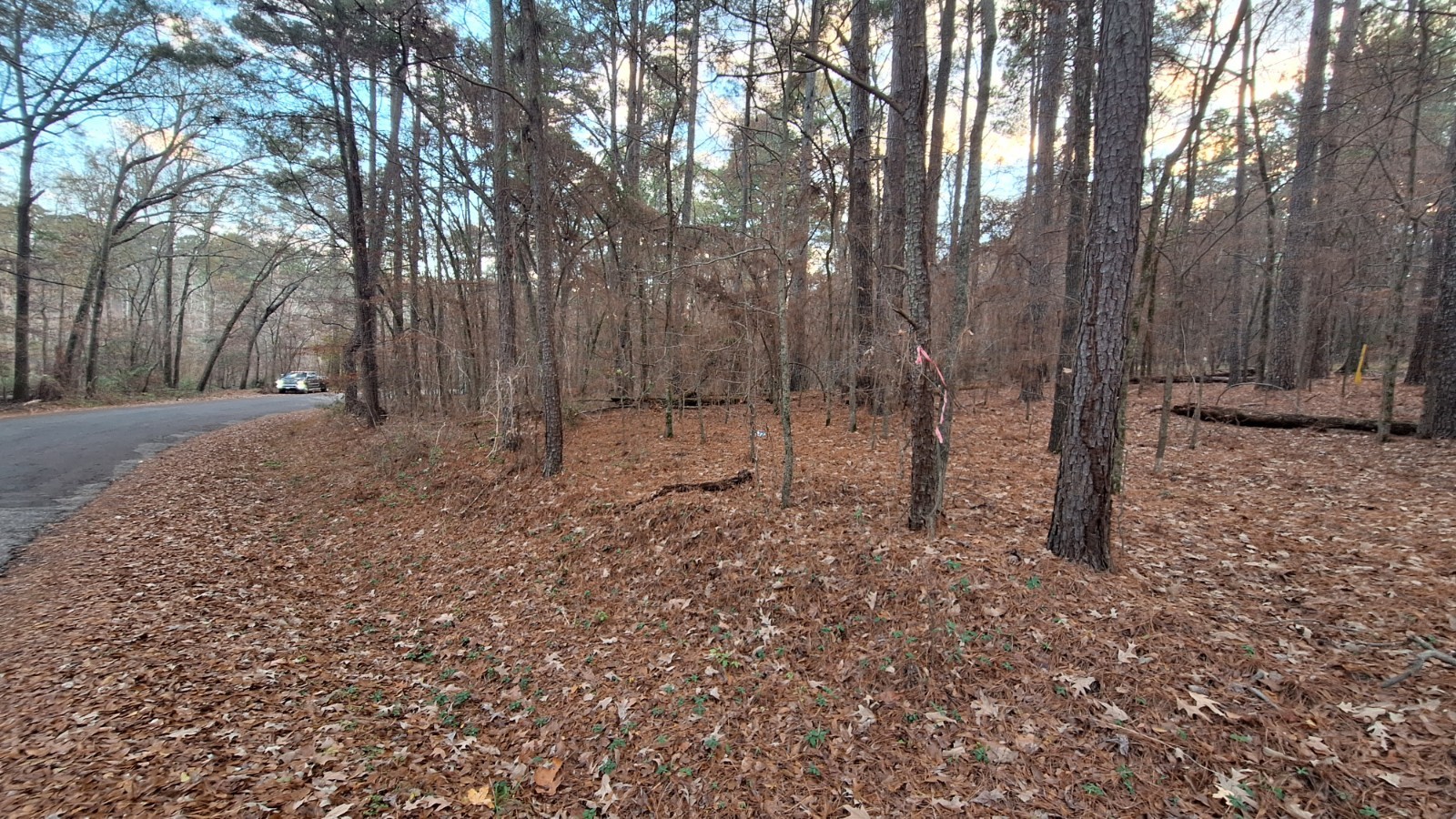 20 acres Undeveloped Lakefront Land near Ore City, TX - Lake O’ The Pines.