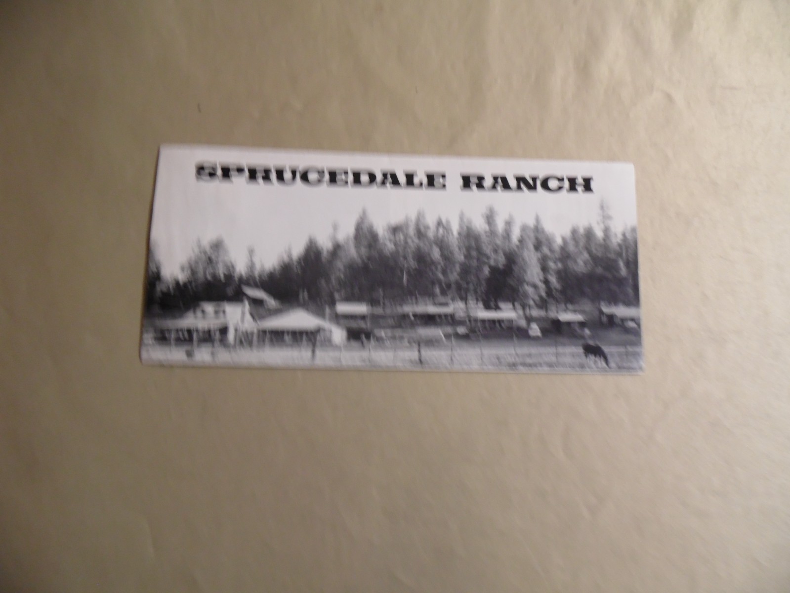 Vintage Sprucedale Ranch Alpine Arizona Pamplet / Free Domestic Shipping