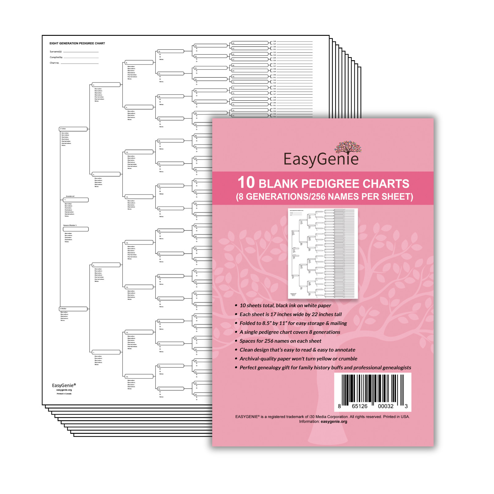 EasyGenie 8 Generation Pedigree Charts For Genealogy (10 Sheets/256 Names)
