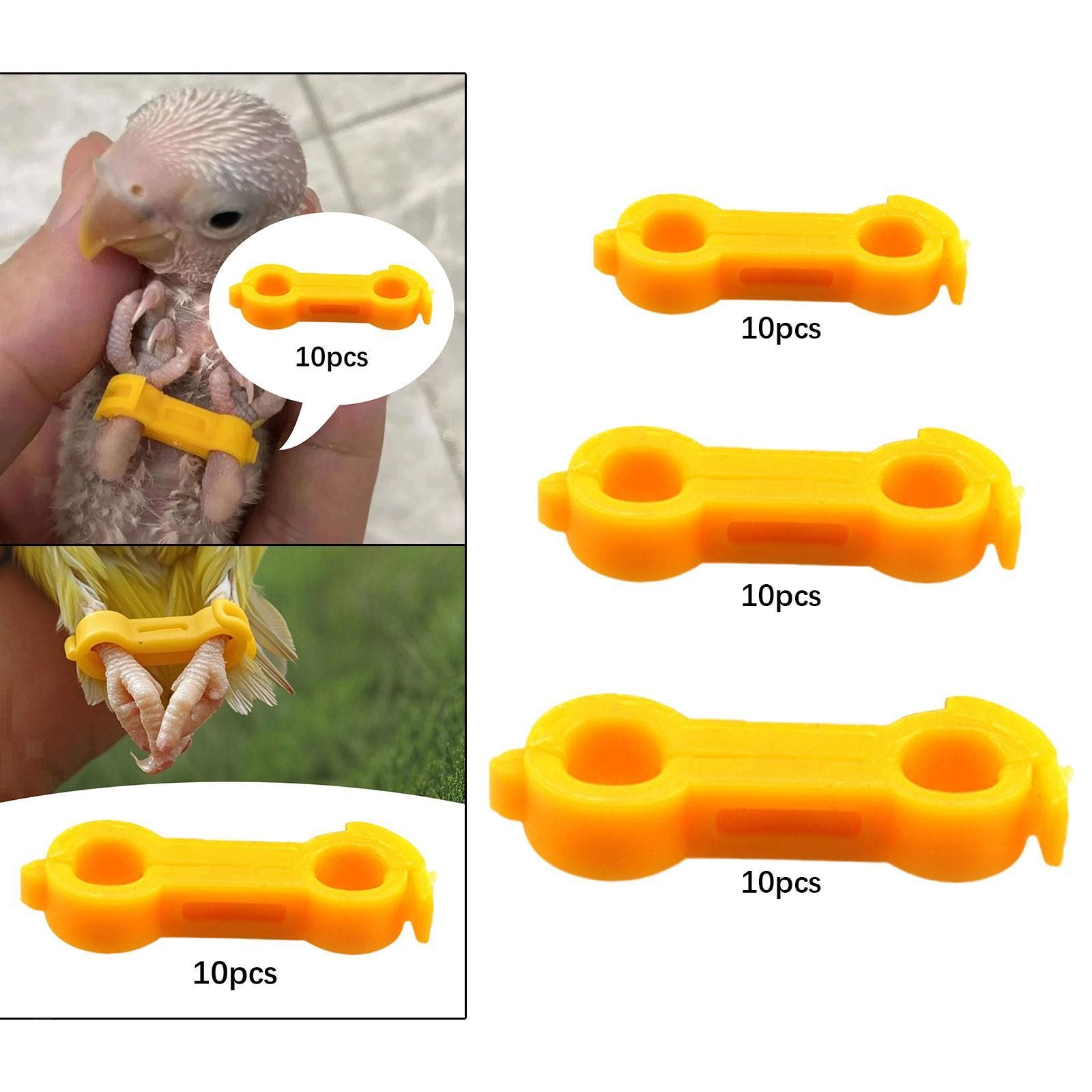 10x Chicken Leg Bands Poultry Leg Ties Correction Easy Installation Splayed Leg