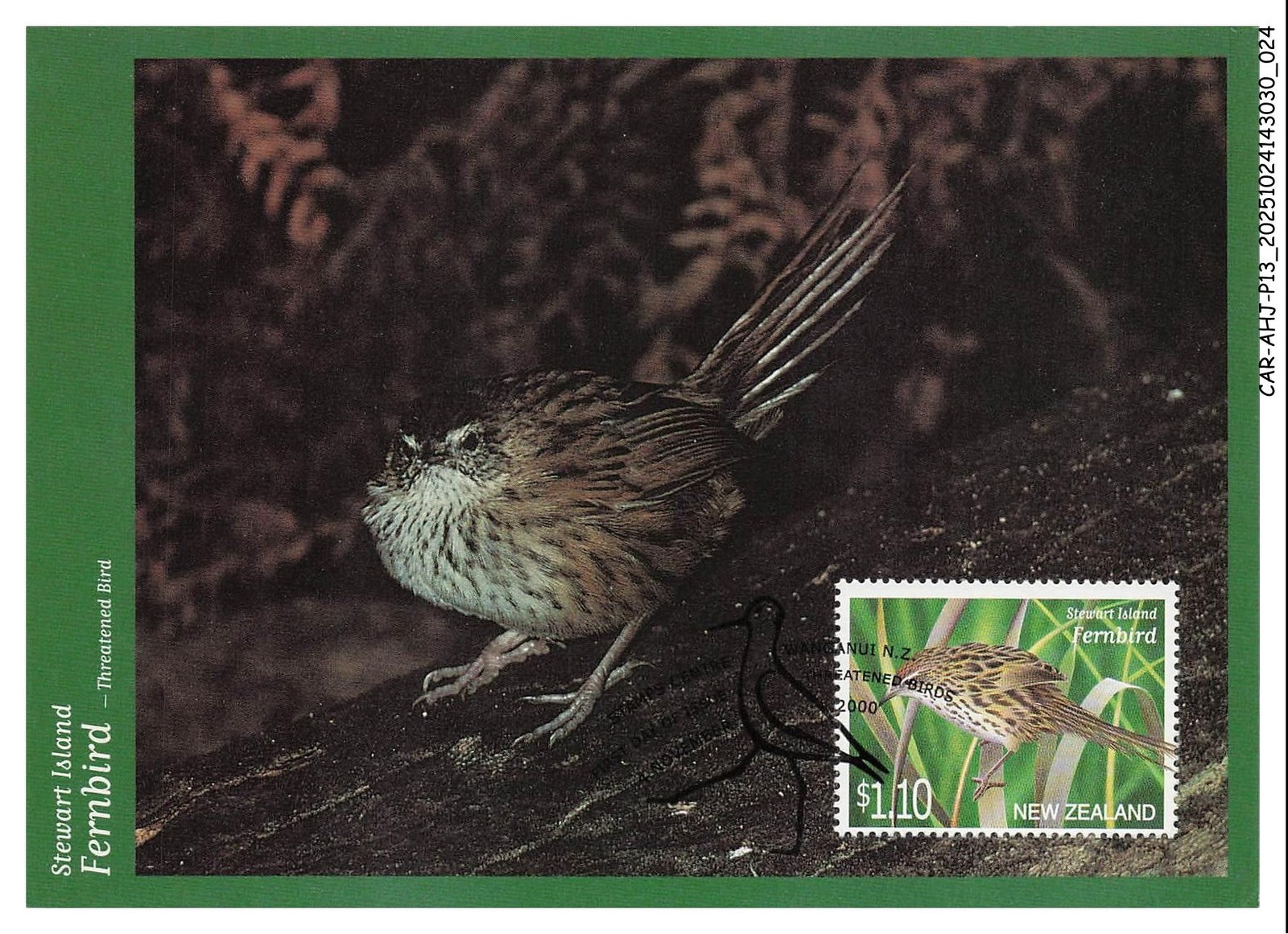 CAR-AHJP13-0587-MAXIMUM - NEW ZEALAND - Fernbird - 2000
