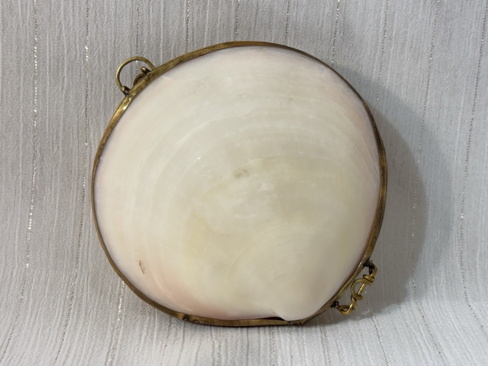 Vintage GENUINE CLAM SEA SHELL Brass Hinged TRINKET Box COIN Purse PILL Box