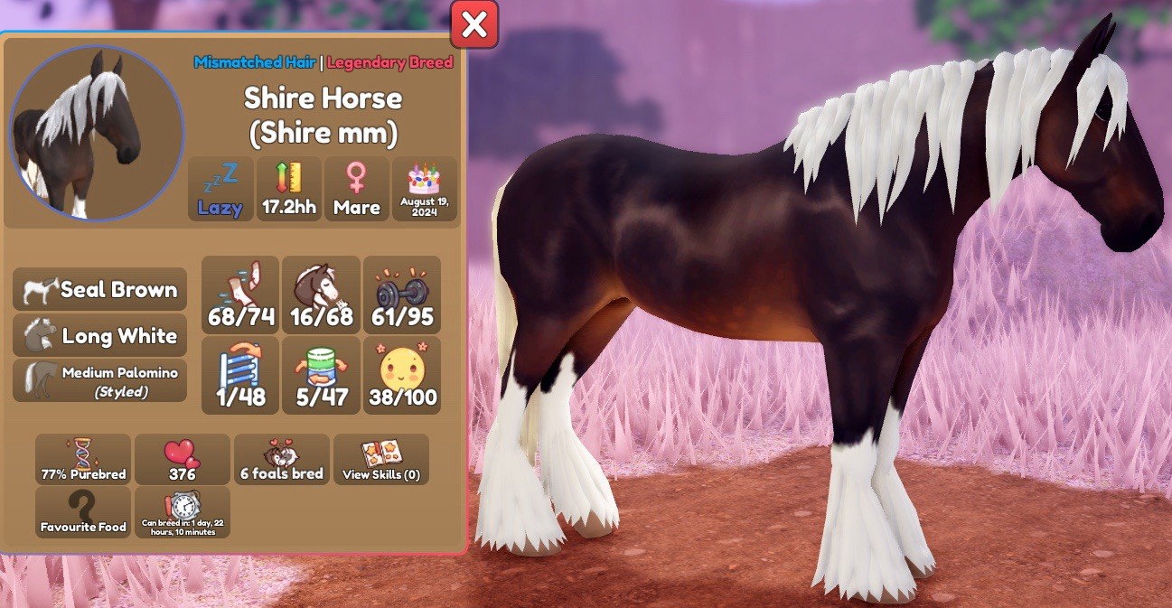 Shire Horse Legendary Breed Seal Brown mismatch hair
